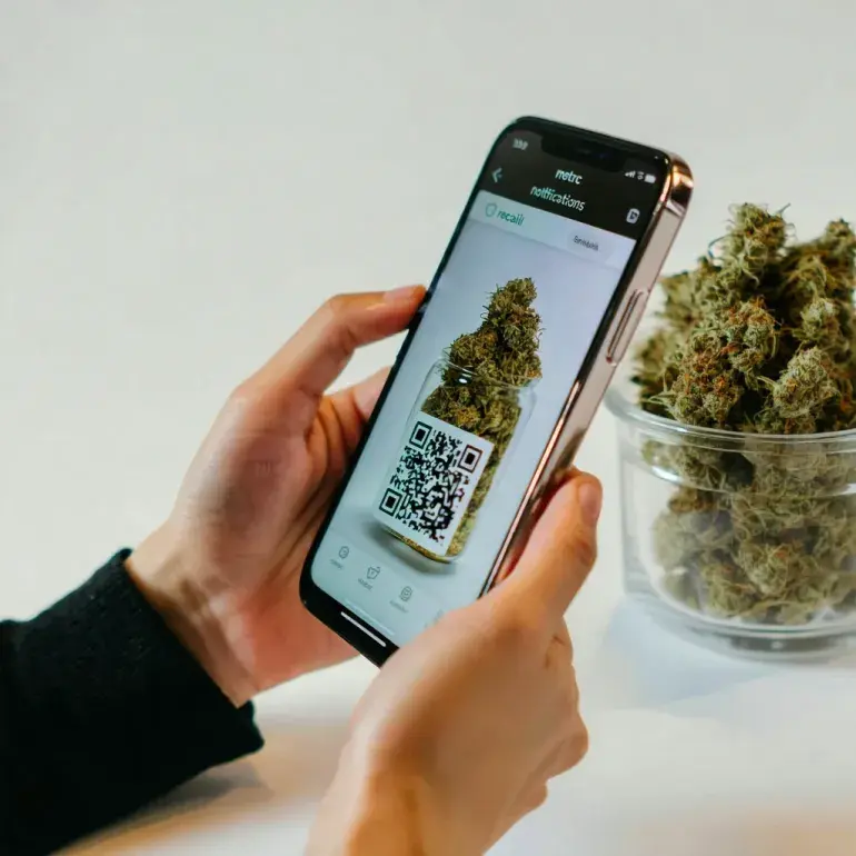 Metrc Launches Recall Notifications Revolutionizing California Cannabis Safety